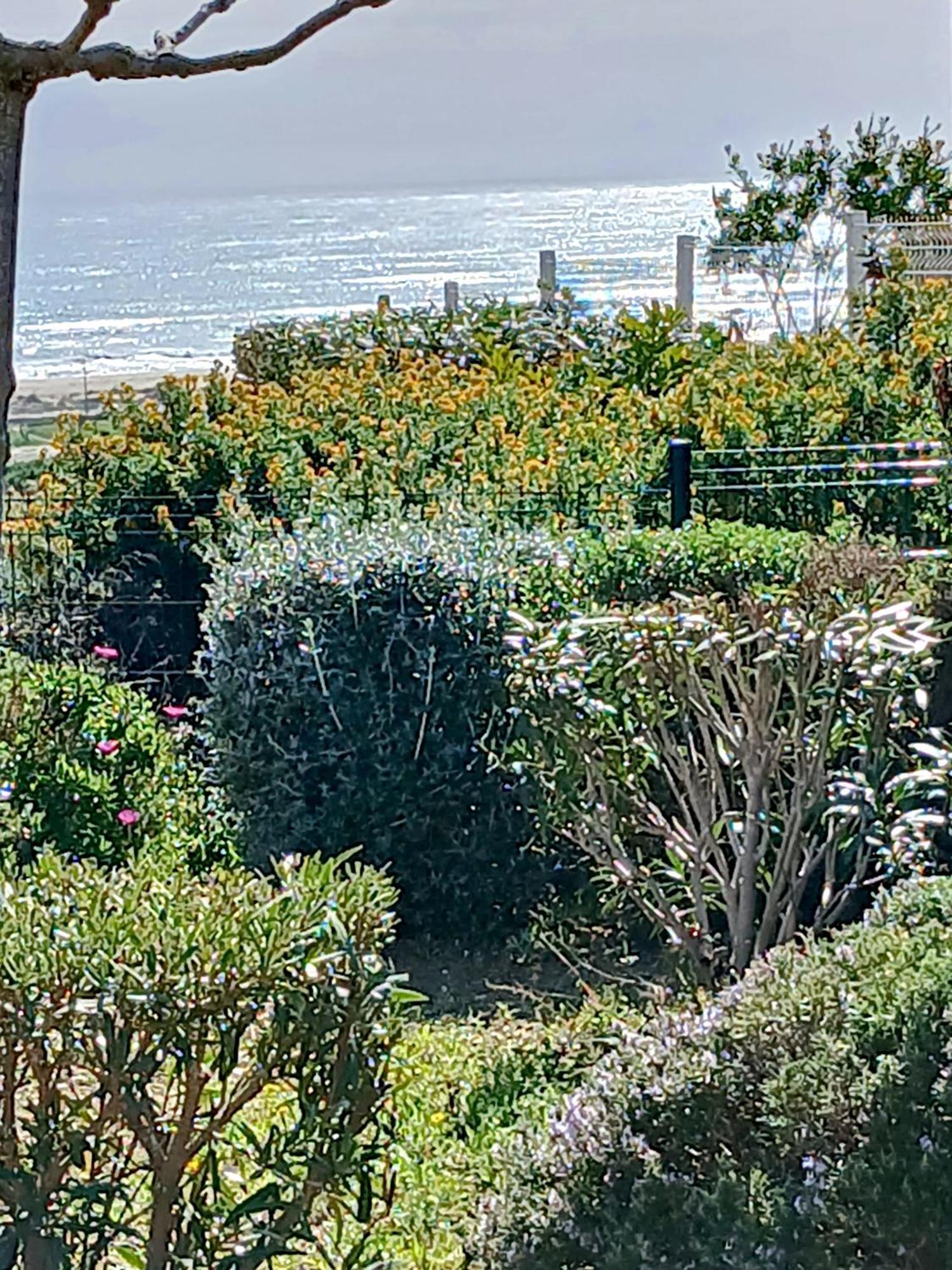 Plain-Pied Jardin 6 Personnes Clim Vue Mer Parking Wifi Terrasse Piscine Dans La Residence Saint-Pierre-la-Mer  المظهر الخارجي الصورة