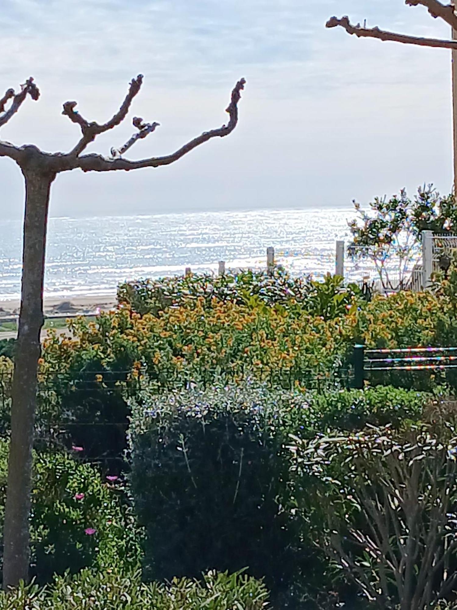 Plain-Pied Jardin 6 Personnes Clim Vue Mer Parking Wifi Terrasse Piscine Dans La Residence Saint-Pierre-la-Mer  المظهر الخارجي الصورة